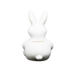 Cofrinhos Personalizados2