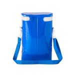 Brindes Personalizados Bolsa térmica2