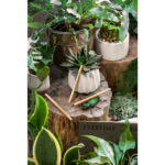 Caneta sem tinta de bambu personalizada RS