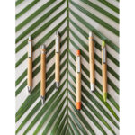 brindes sustentavel caneta bambu SC